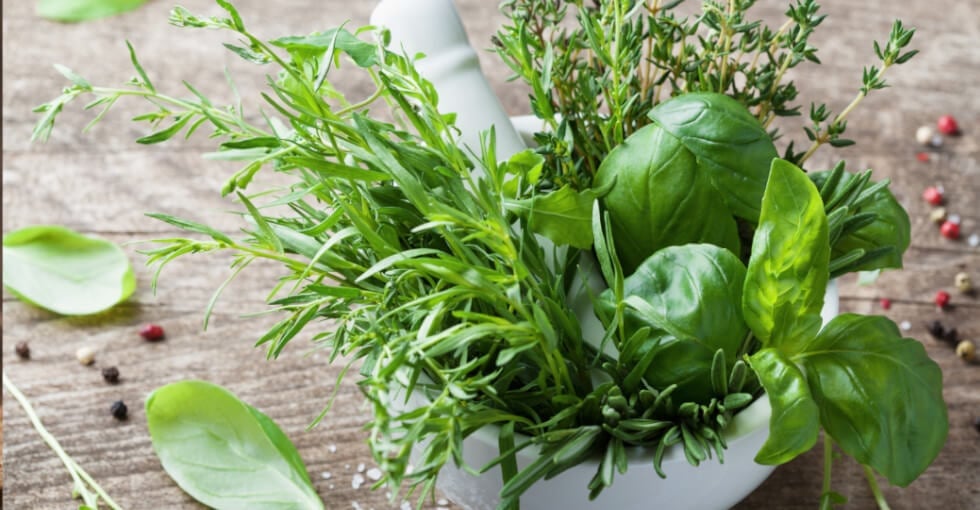 J'achète mes herbes fraîches